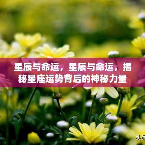 揭秘星座运势背后的神秘力量，星辰与命运的交织影响