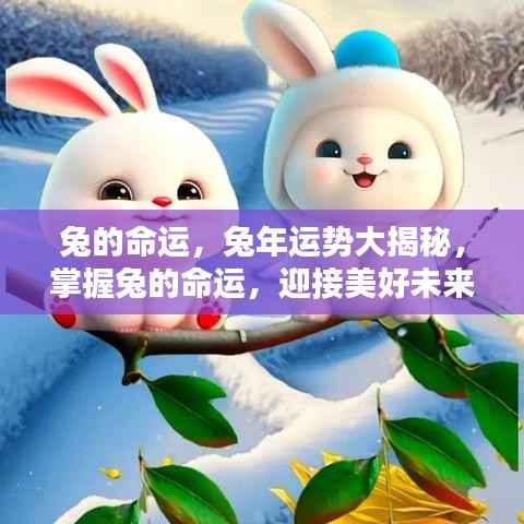 兔年运势揭秘,掌握命运,迎接美好未来!
