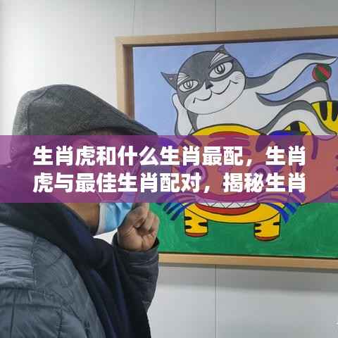 揭秘生肖奥秘，生肖虎的最佳配对生肖，和谐共鸣的奥秘探索