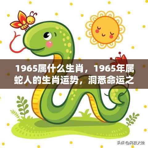 揭秘生肖蛇，1965年属蛇人的运势与命运挑战深度解析