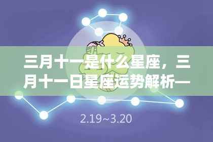 三月十一日双鱼座运势解析,揭秘风云变幻的星座特性与运势展望