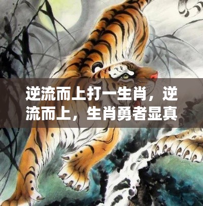 逆流而上猜生肖，勇者风采显真章