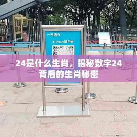 揭秘数字背后的生肖秘密，24代表什么生肖？
