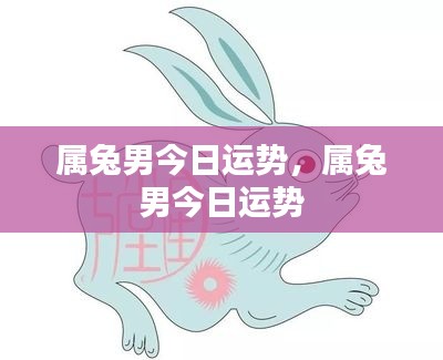 属兔男性今日运势预测