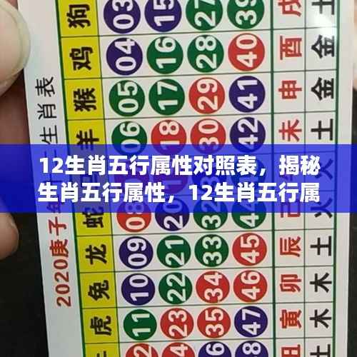 揭秘生肖五行属性，深度解析12生肖五行属性对照表