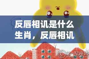 反唇相讥与生肖，微妙互动与个性解读的秘密