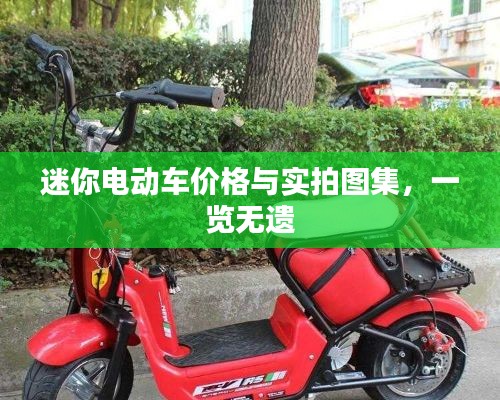 迷你电动车价格与实拍图集，一览无遗