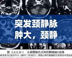 就楼磨刀 第4页