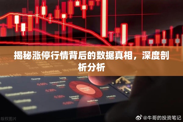 揭秘涨停行情背后的数据真相,深度剖析分析